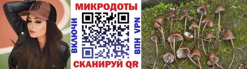 мега зеркало  купить наркотик  Курчатов  Галлюциногенные грибы прущие грибы 