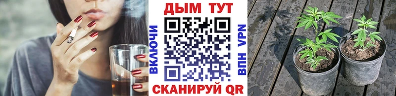 Конопля тримм Курчатов