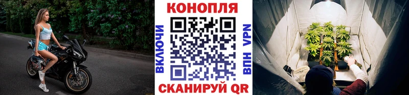 Канабис ГИДРОПОН  хочу наркоту  Курчатов 
